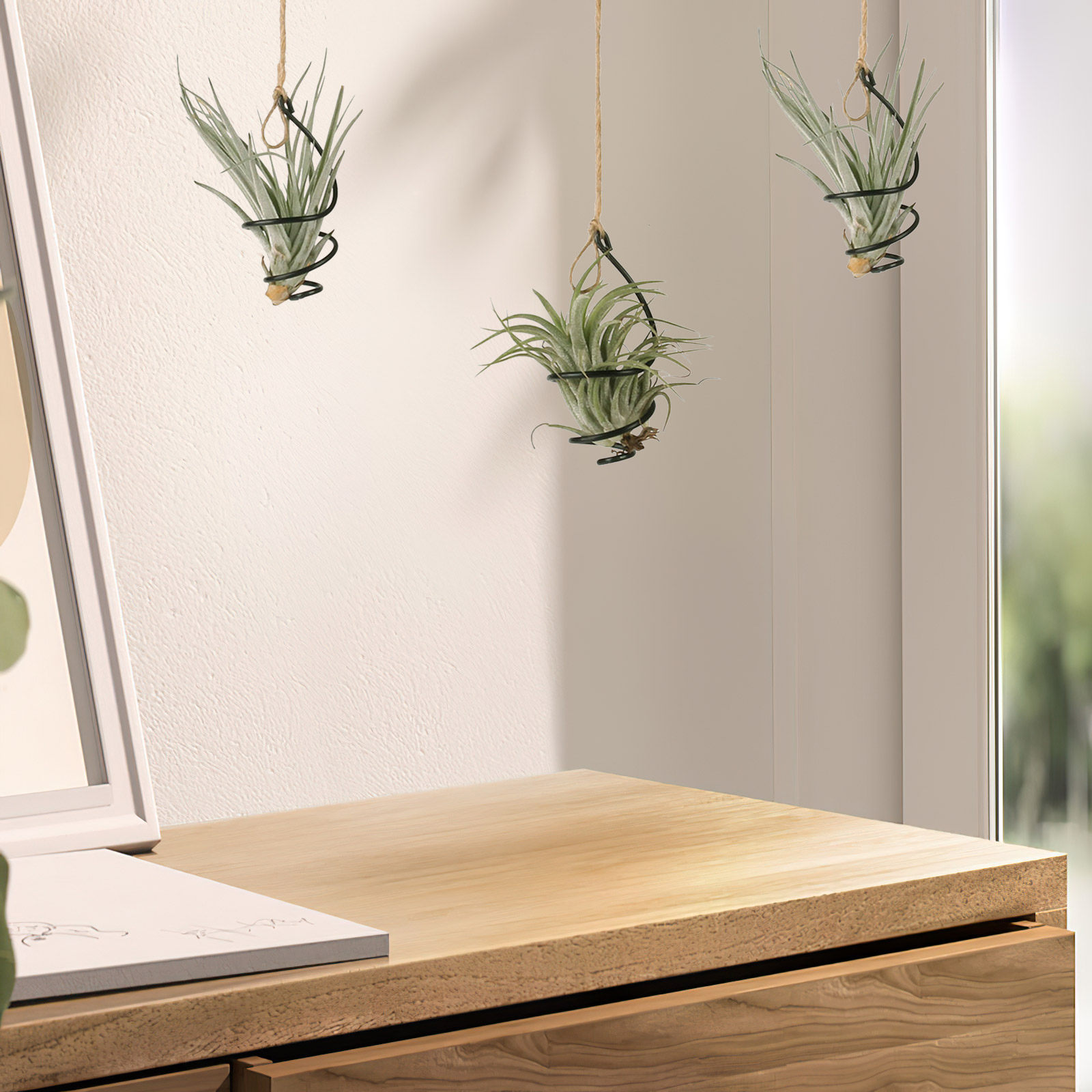 Air Plant Tillandsia - ชุด 12 ชิ้น ที่แขวนต้นไม้ในอากาศ วงแหวนโลหะแบบเกลียว ภาชนะสำหรับจัดแสดงแบบไม่ใช้ดิน