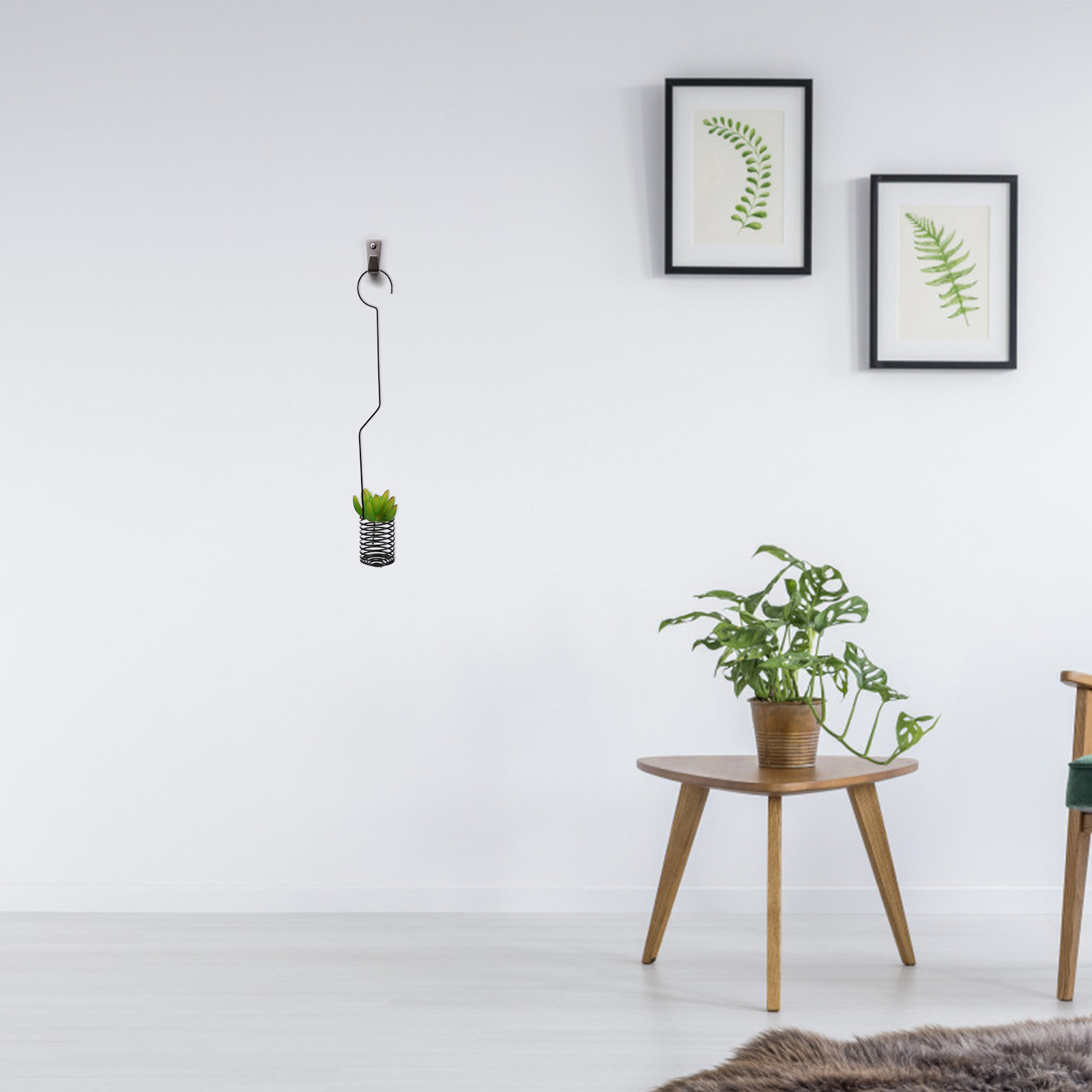 ที่แขวนต้นไม้แบบวินเทจ 1 ชิ้น  - Air Plant Tillandsia บทวิจารณ์และราคา