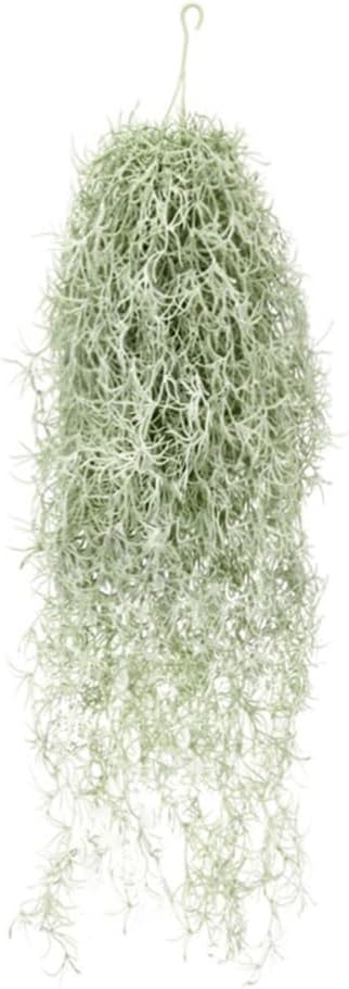 ประดิษฐ์ Flocking Tillandsia A - Air Plant Tillandsia บทวิจารณ์และราคา