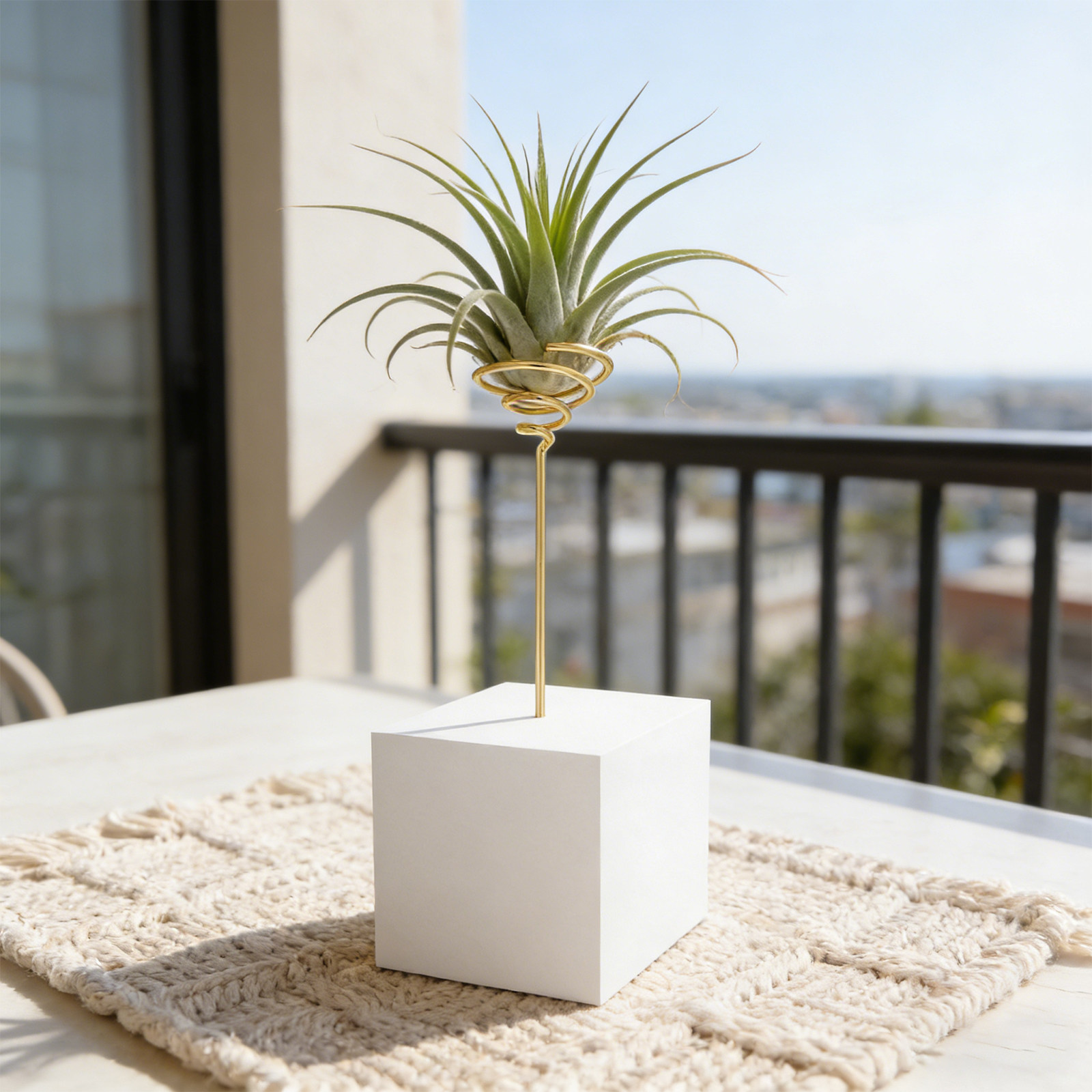ขาตั้งต้นไม้โลหะชุบไฟฟ้า 6 ชิ้ - Air Plant Tillandsia บทวิจารณ์และราคา