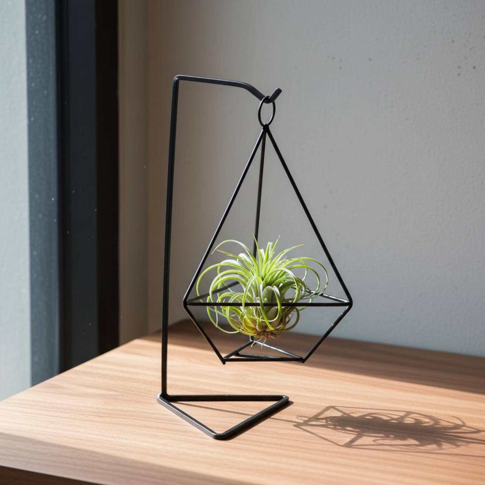 ที่วางต้นไม้ทรงเรขาคณิต ดีไซน์ - Air Plant Tillandsia บทวิจารณ์และราคา