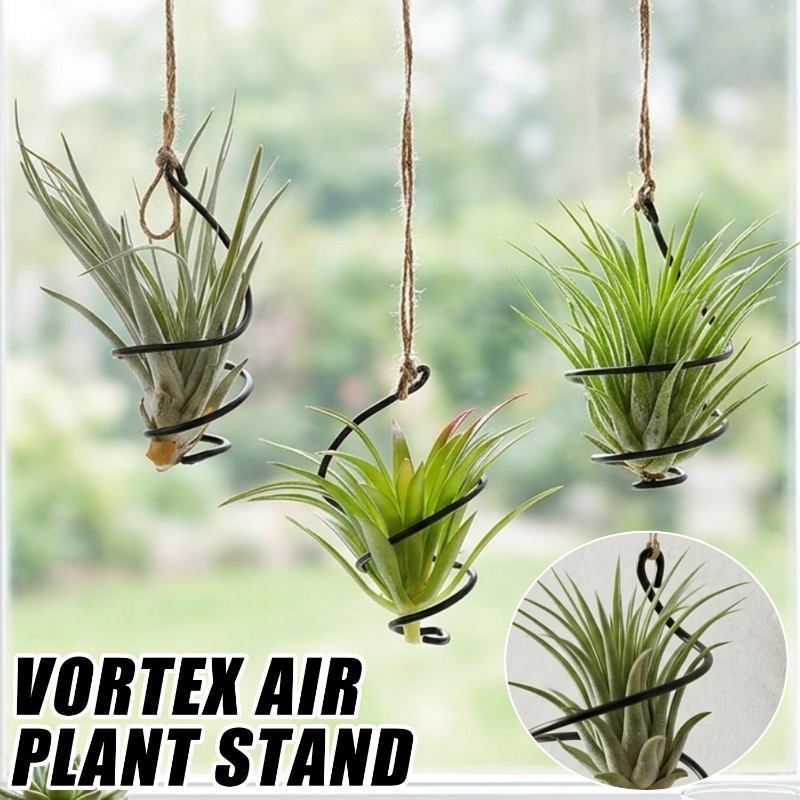 ที่แขวนต้นไม้แบบแขวน ที่แขวนต้ - Air Plant Tillandsia บทวิจารณ์และราคา