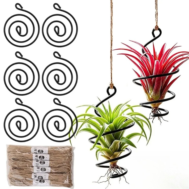 ที่แขวนต้นไม้แบบแขวน ที่แขวนต้ - Air Plant Tillandsia บทวิจารณ์และราคา