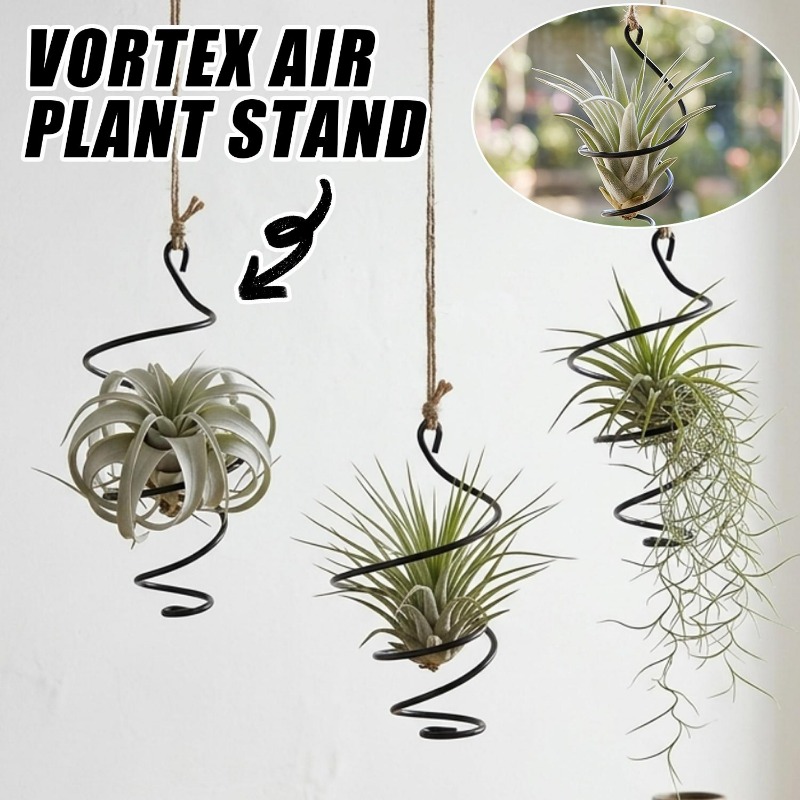 ที่แขวนต้นไม้แบบแขวน ที่แขวนต้ - Air Plant Tillandsia บทวิจารณ์และราคา